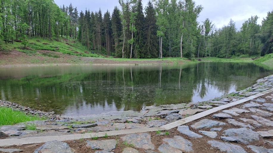 Novou nádrž s tůněmi vybudovaly na Tachovsku Lesy ČR