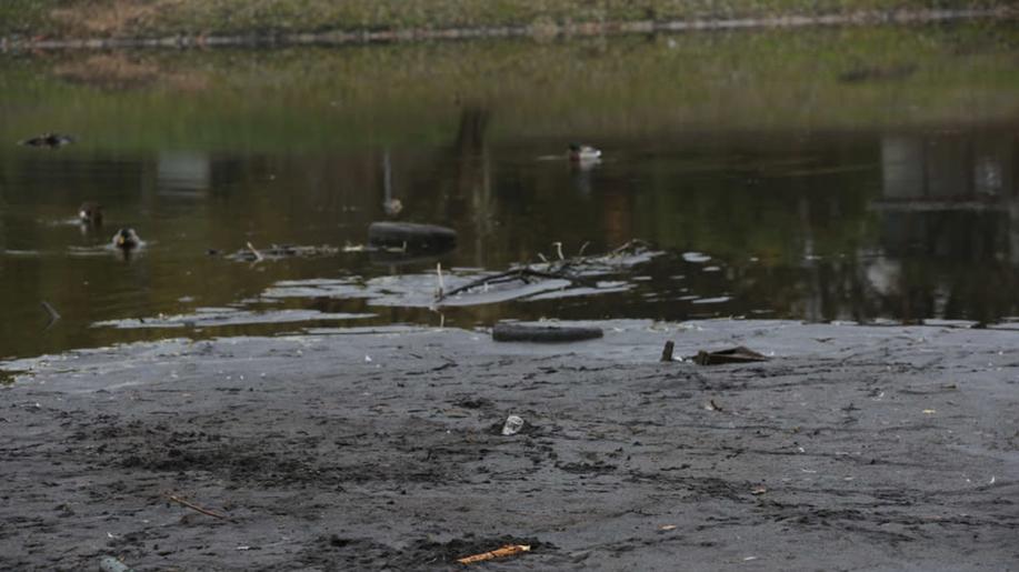 Rybníkáři mohou začít žádat o dotace na rekonstrukci nebo odbahnění rybníků