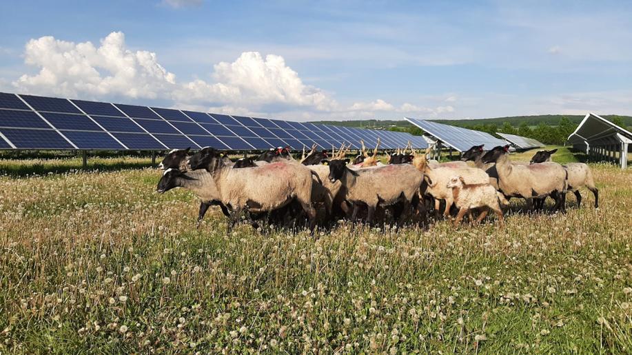 Je možné, aby produkce elektrické energie ze solárních panelů byla ještě ekologičtější?