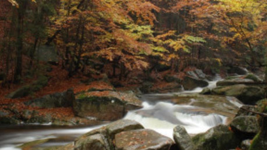 Kontroly ČIŽP úspěšně odhalují nadlimitní odběry vod pro účely energetického využívání a umělého zasněžování Kontroly ČIŽP úspěšně odhalují nadlimitní odběry vod pro účely energetického využívání a umělého zasněžování