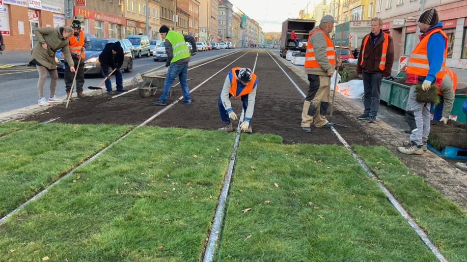 Unikátní směsi trav a kvetoucích bylin pro města odolávají i extrémním podmínkám