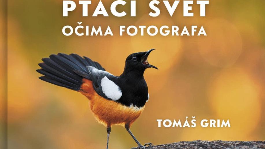 Nové knihy - Ptačí svět očima fotografa