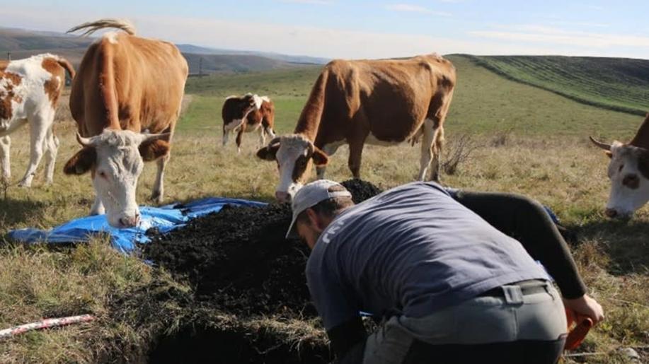 Vědci Botanického ústavu odhalili zdroj mimořádné druhové bohatosti luk v rumunské Transylvánii