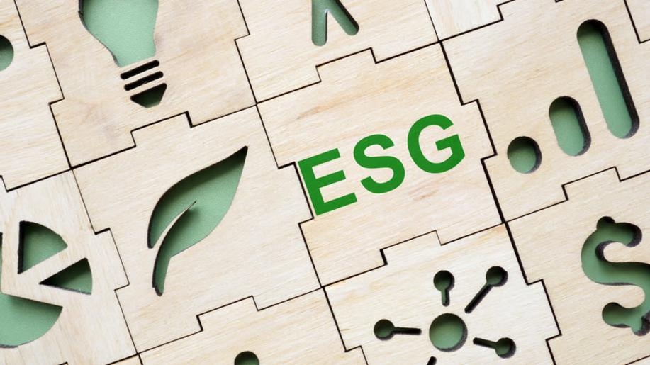 ESG reporting. Jak na data v oblasti S - Sociální aspekty