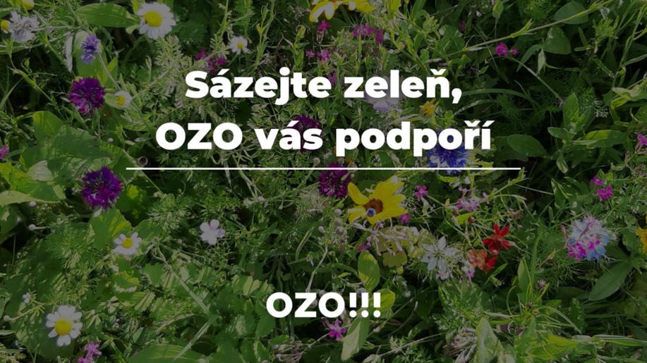 Sázejte zeleň - OZO vás podpoří