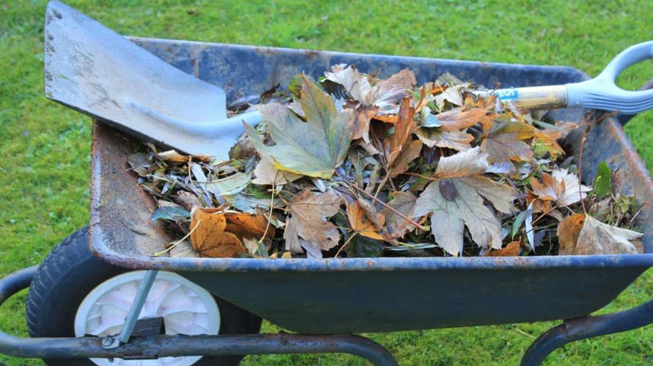 Vyjádření k výkladu zákonů, které se týkají likvidace bioodpadu a spalování rostlinného odpadu například na zahradách