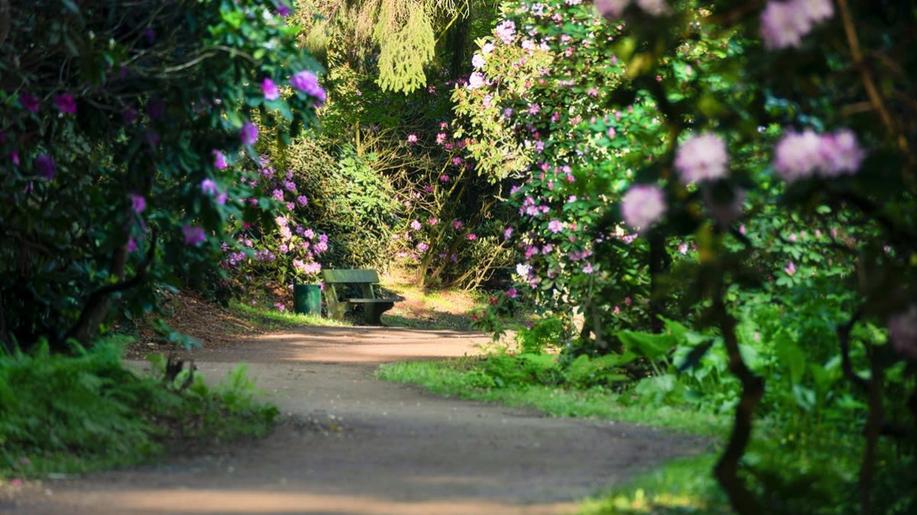 Průhonický park slaví významná výročí: 140 let vzniku a 15 let na Seznamu světového dědictví UNESCO