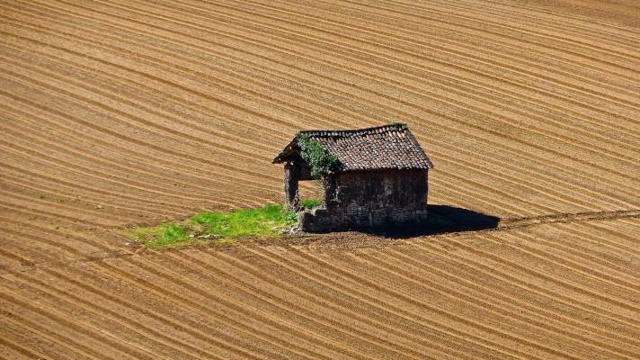 Europoslanci v pátek rozhodnou o osudu zemědělské krajiny