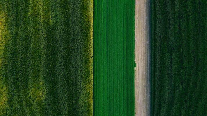 European Green Deal in turbulent times: where are we at? European Green Deal in turbulent times: where are we at?