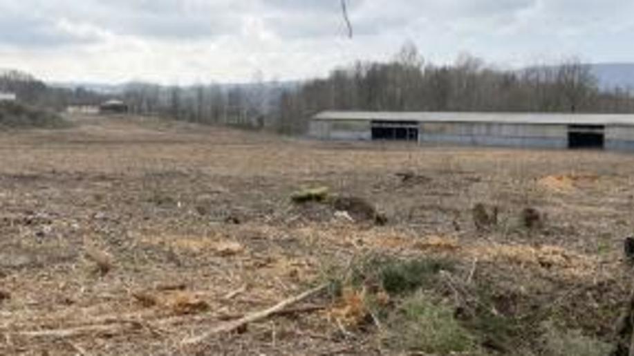 Nepovolené kácení náletových dřevin zvýší firmě náklady na vybudování nové fotovoltaické elektrárny Nepovolené kácení náletových dřevin zvýší firmě náklady na vybudování nové fotovoltaické elektrárny